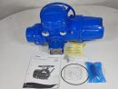 ELECTRICAL ACTUATOR 10" ANSI 300
