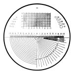 RETICULA