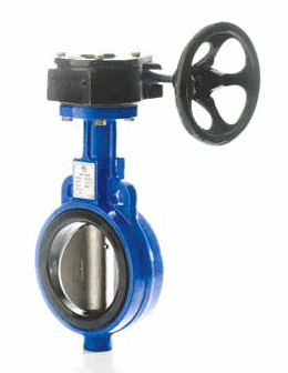 VALVE WAFER CUERPO DI / DISCO SS 3"