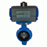 VALVE WAFER CUERPO DI / DISCO SS 2"