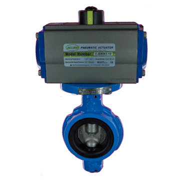 VALVE WAFER CUERPO DI / DISCO SS 2"