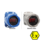 PROTEX-MAX EXP-PROOF PULSE INPUT RATE / TOTALIZER