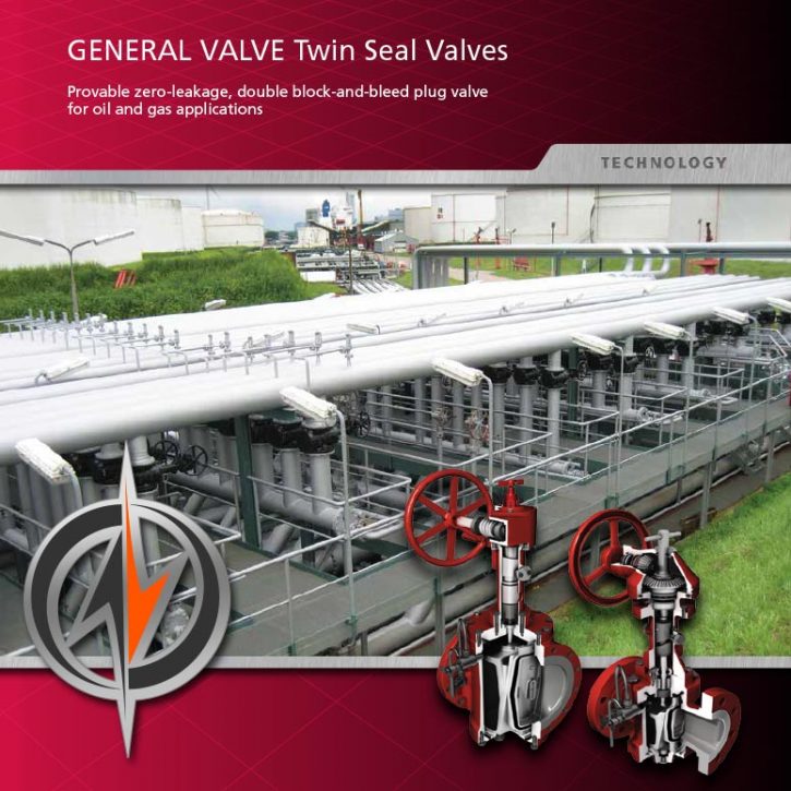 GENERAL TWIN SEAL 04" ANSI 300