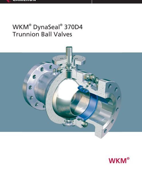 TRUNNION BALL VALVE 10 X 10 ANSI 300  RF CS/CS-HNBR SEALS - GEAR OPERATOR