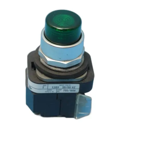 Push Button, Green, Incand., 120V AC 50/60 Hz