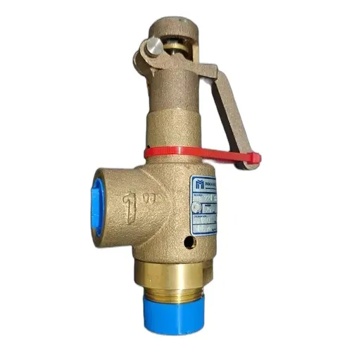 VALVULA CUERPO EN Y 1"NPT 150 PSI NC 63mm SS