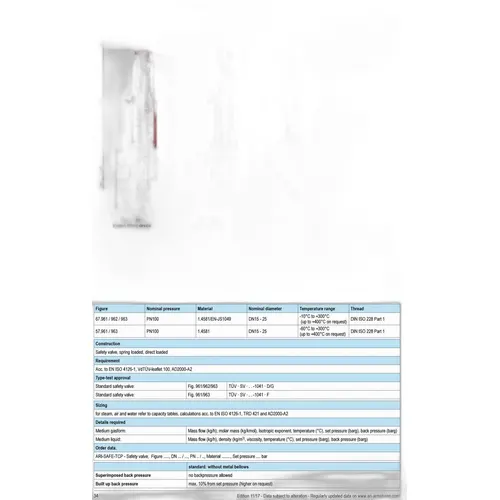 STANDARD SAFETY VALVE WITH THREAD CONNECTION